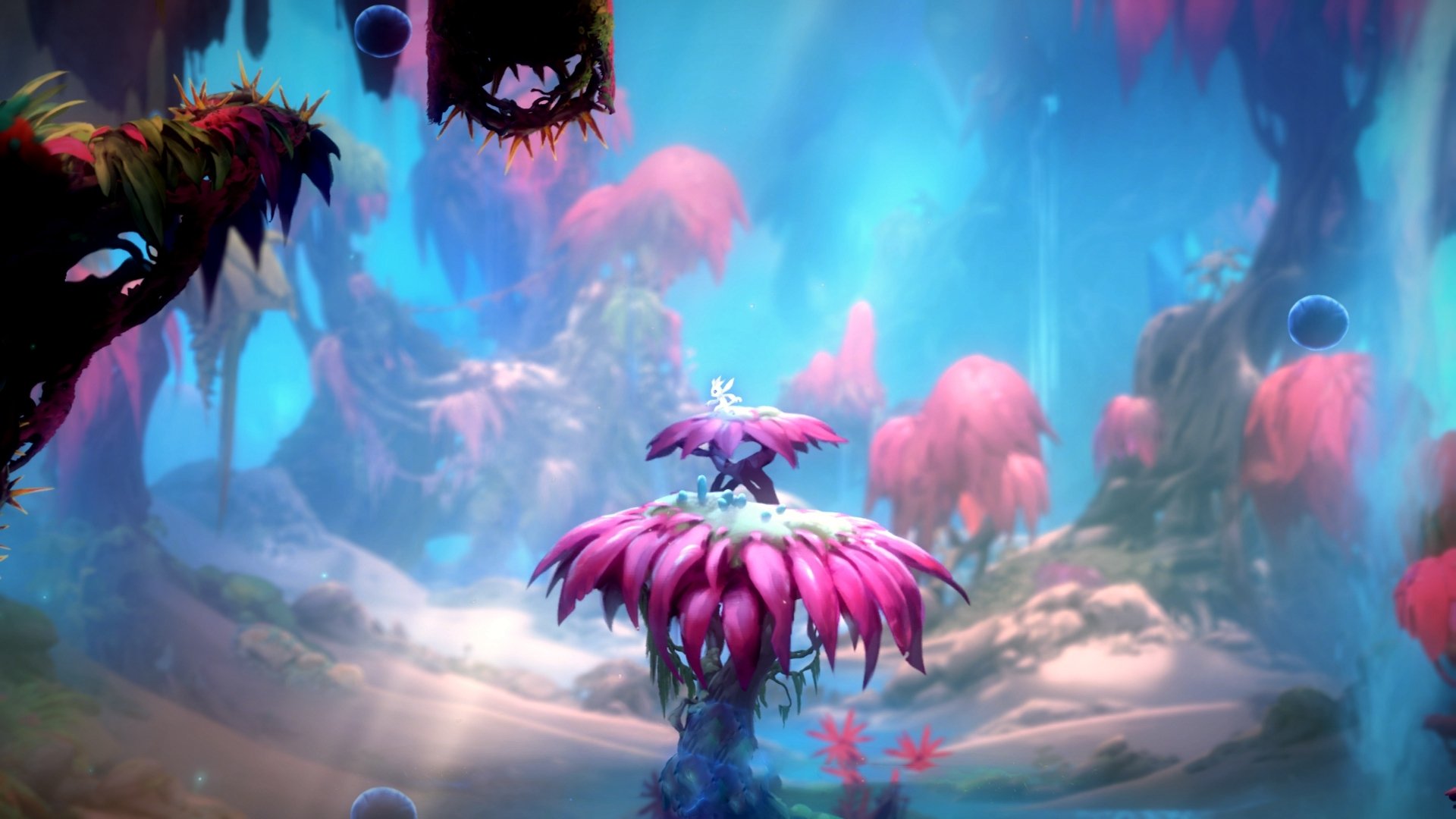 开拓者新秀闯关成功 荣膺赛季最佳新人,开拓者队新秀