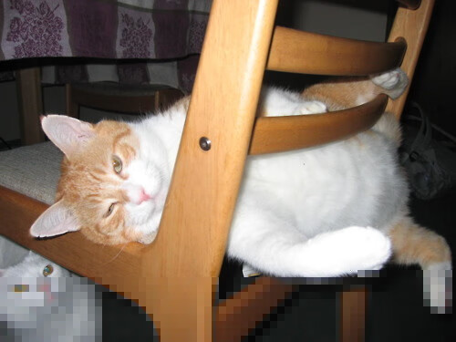 精准传球:阵型组合完美无疵,扬长避短,传球数据