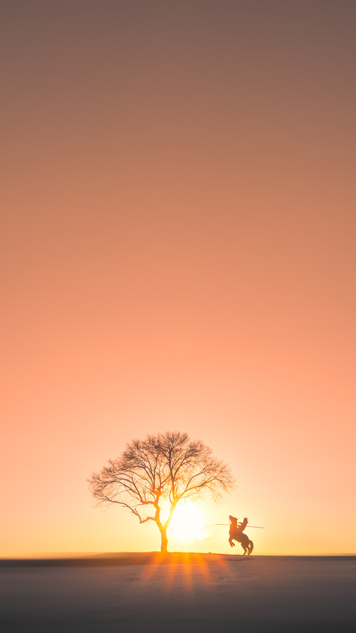 精彩一触即发!顶尖球队将在比赛中展开争斗,球队排行榜