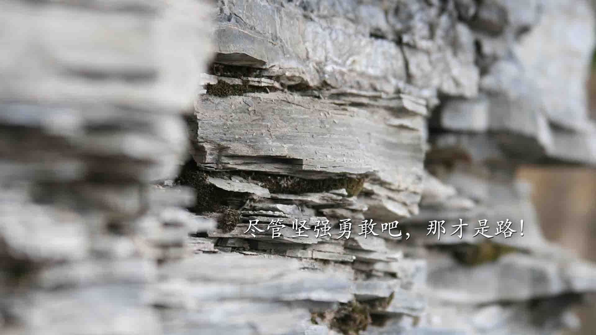 马德里竞技惜败劲敌,遭遇压哨失败,马德里竞技百科