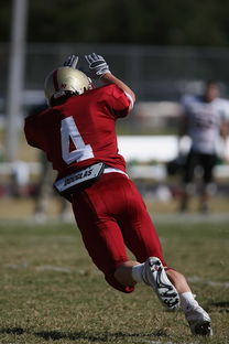 LEYU SPORTS中国官方网站-中超球队双前锋战术成效分析，双前锋组合