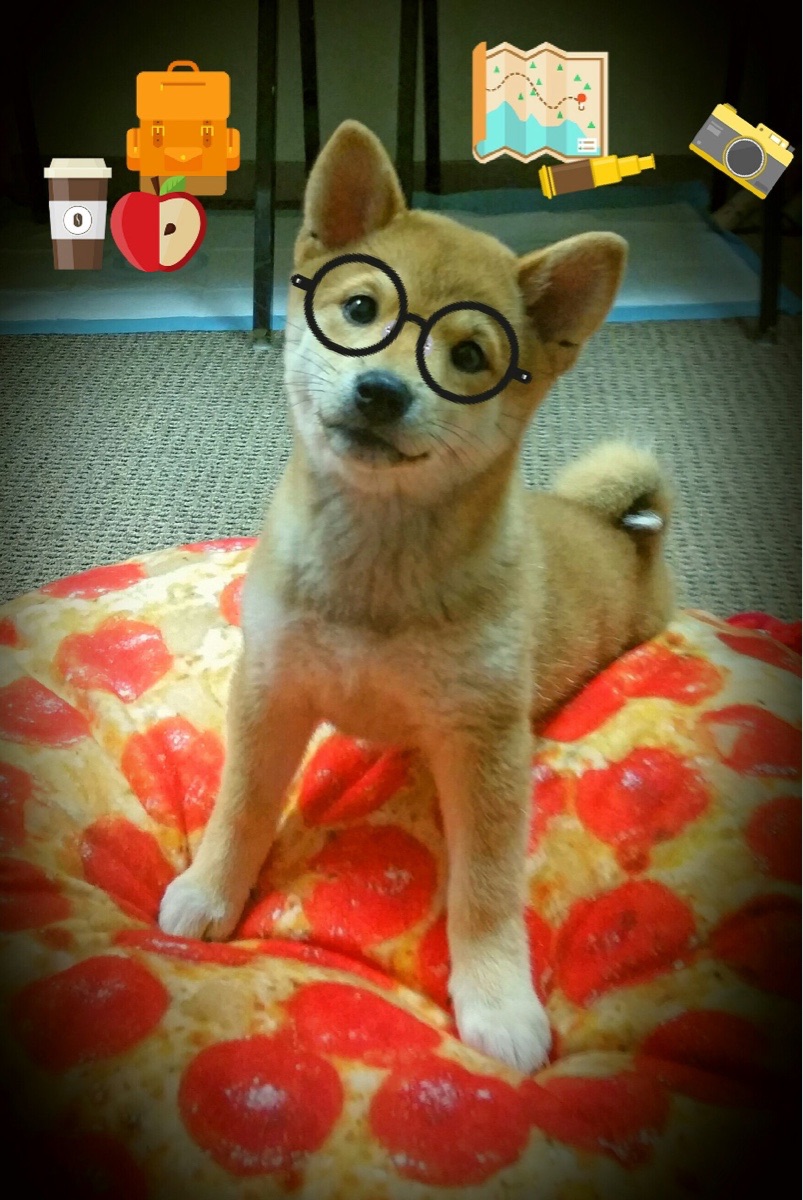 “挥拍如风，壁球挑战极限！高新区全民健身馆迎来速度与耐力之战”