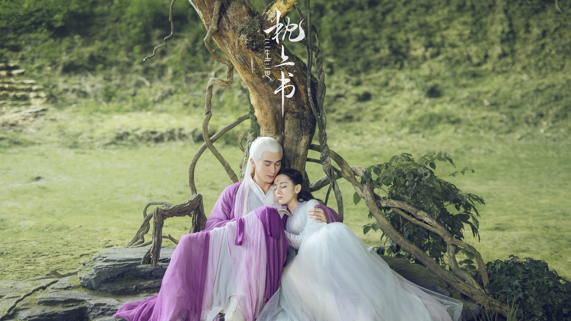 中国香港队的未来挑战与机遇:如何应对全球乒乓大赛压力,香港乒乓球比赛视频