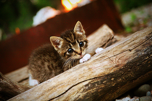 亚冠焦点多地掀起冬训热潮,亚冠东亚区比赛地点