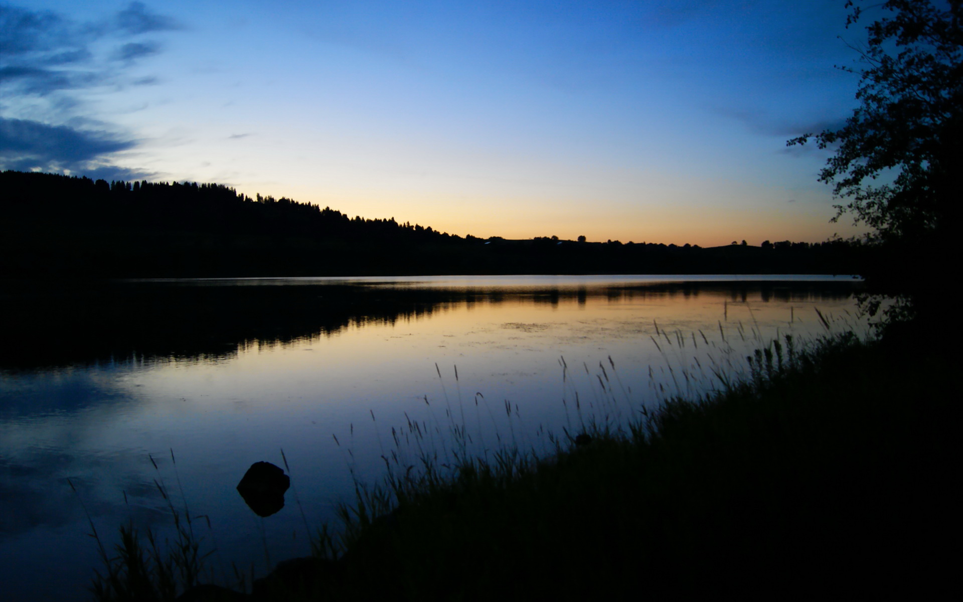 体育新闻中心建设体育音视频版权交易平台,体育新闻网站哪个最好