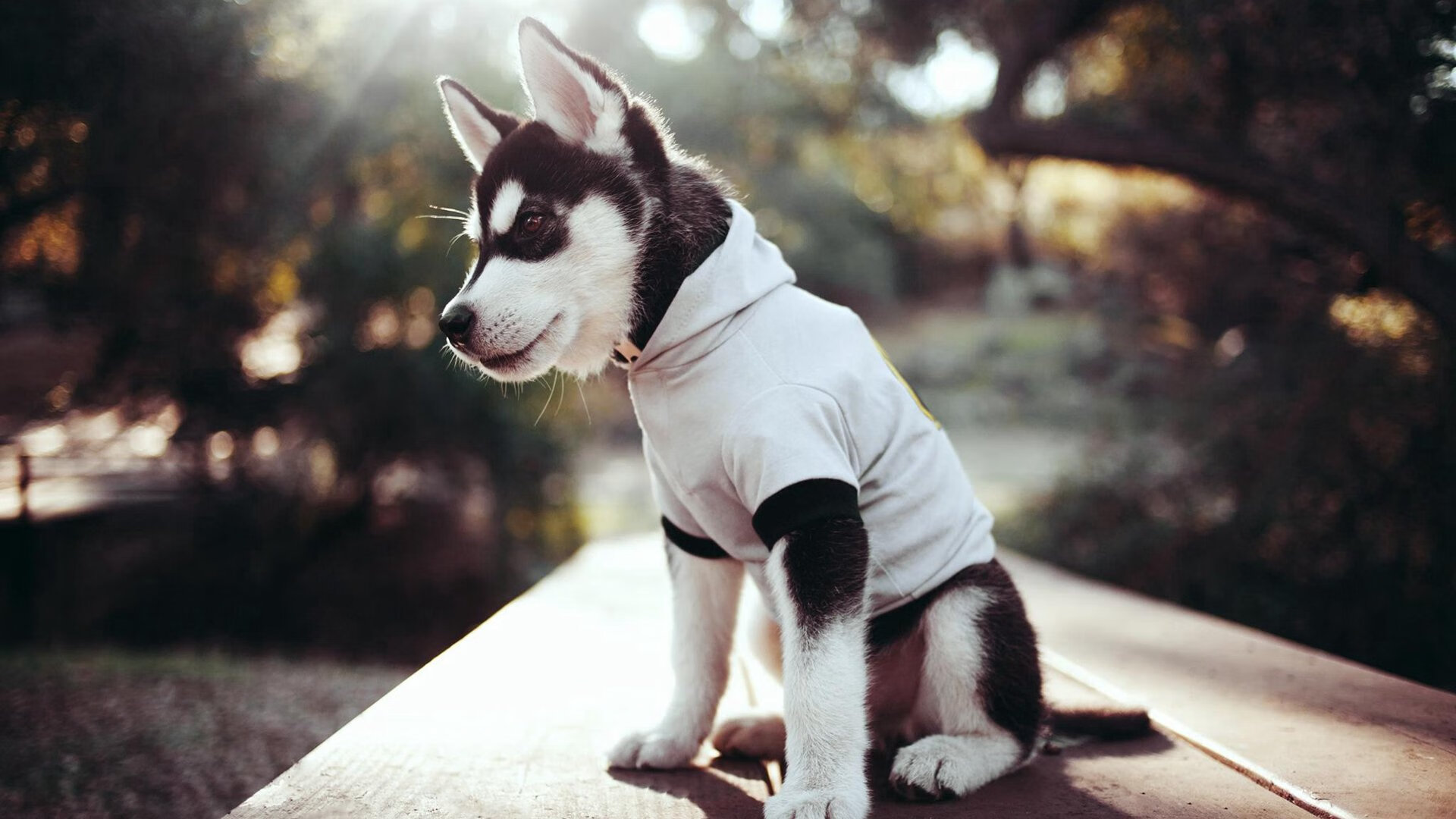 leyu乐鱼体育综合-马拉松比赛设立环境友好竞赛标准，马拉松项目设置