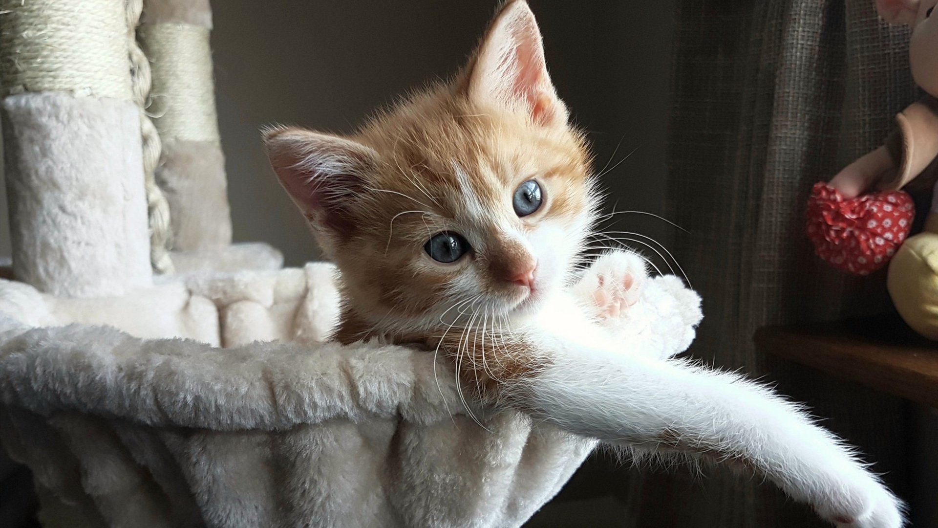 国际大型足球赛事引入环保节能新科技,彰显可持续发展理念,足球世界大赛有哪些