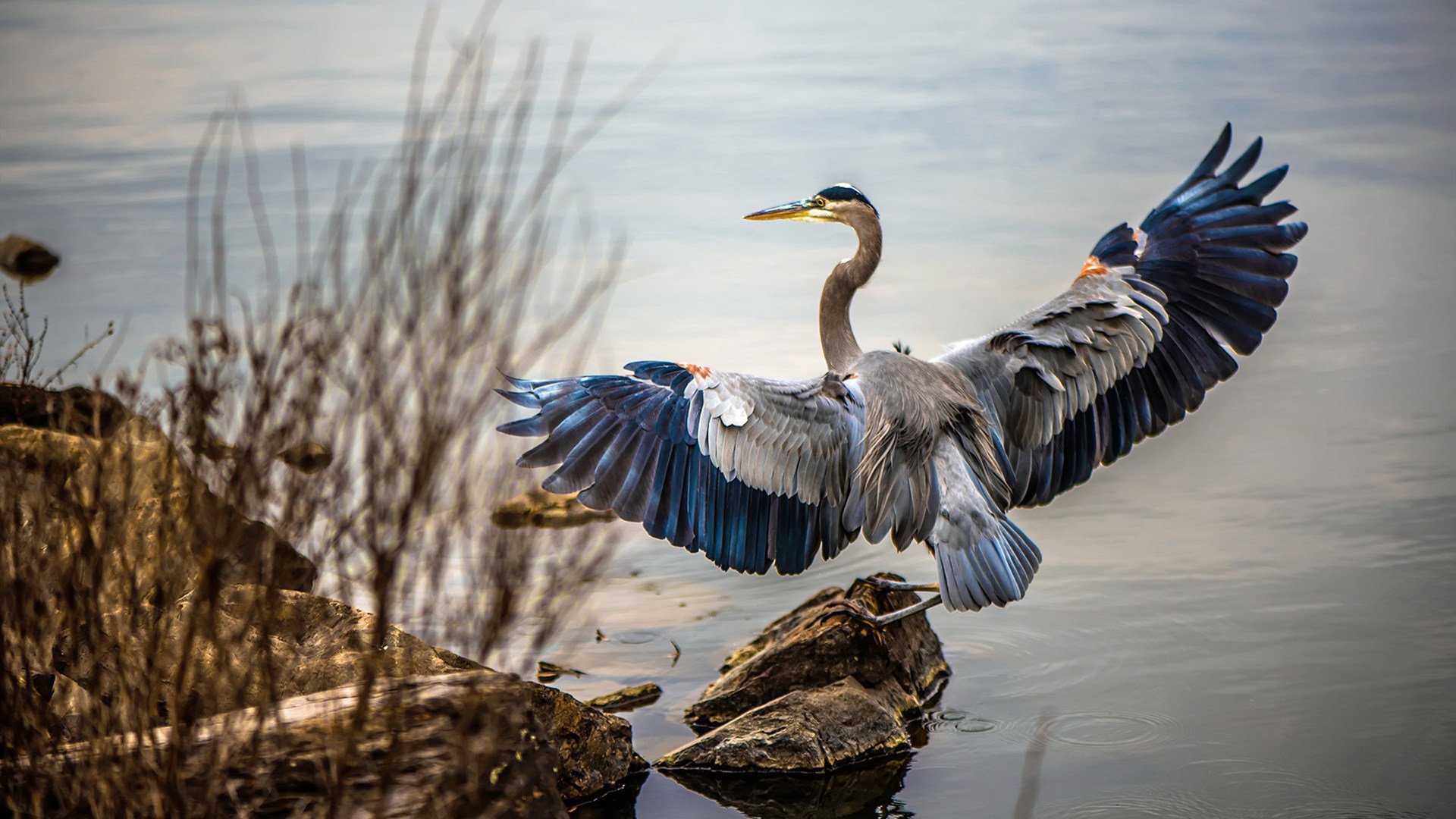 乐鱼体育-意甲球队实力比拼：战术、速度、高效攻守！，意甲实力如何