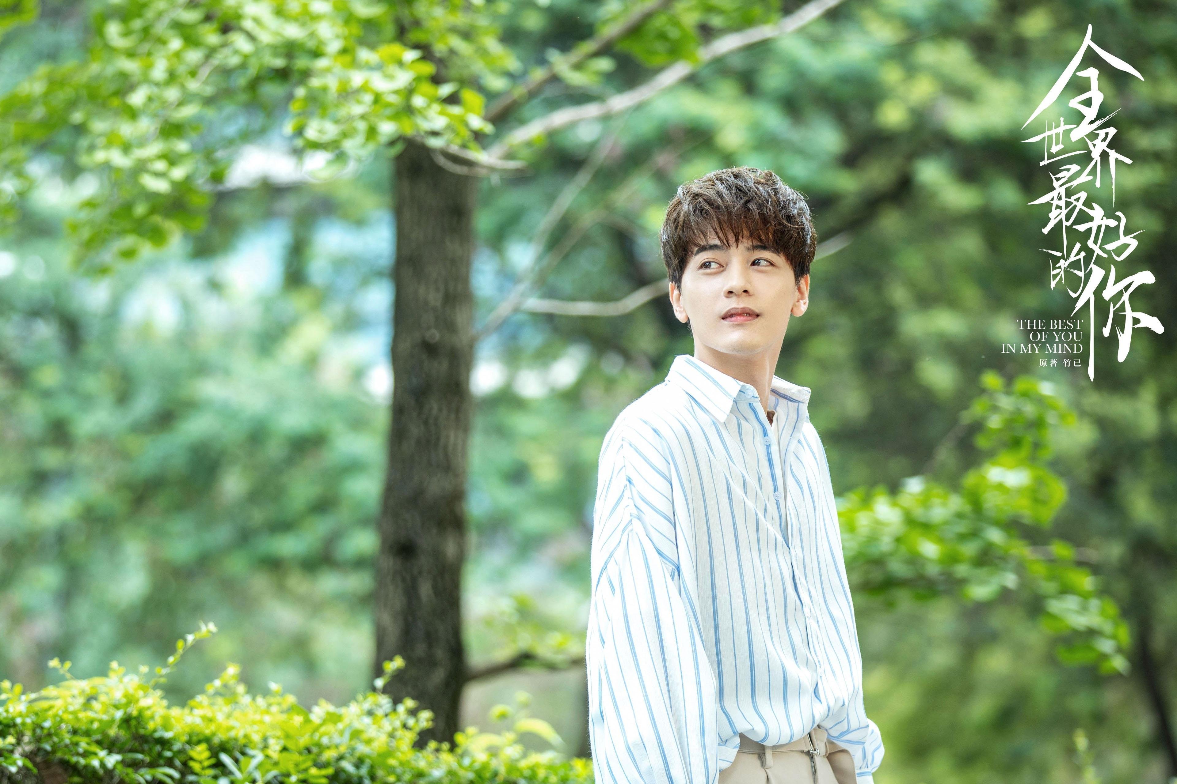 荷兰自由泳短程展现爆发力，荷兰自由泳名将